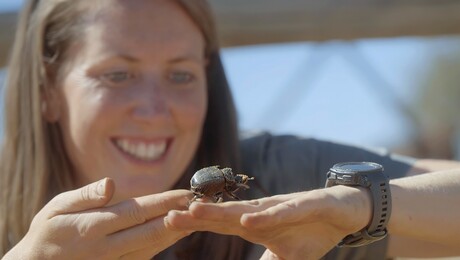 Dierendokter in het wild